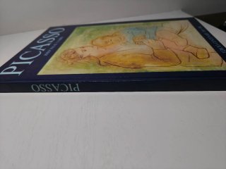 Libro obras de Picasso