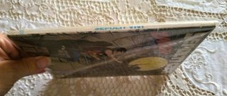 Bonelli | Zagor 371 (*Numerazione Zenith)