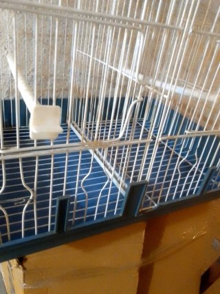 Jaula para pájaros blanca y azul