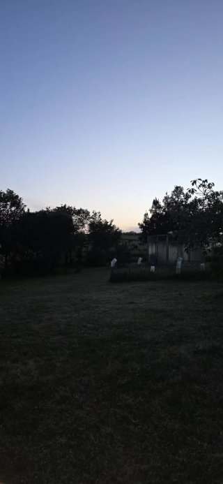 Trabajos Jardinero Desbrozado/ podado de patios