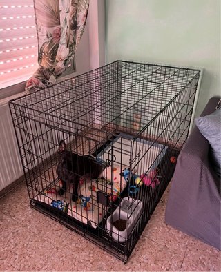 Jaula Doble Perros XXL Negra