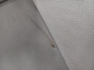 ASIENTO DELANTERO IZQUIERDO BMW SERIE 5 BERLINA (