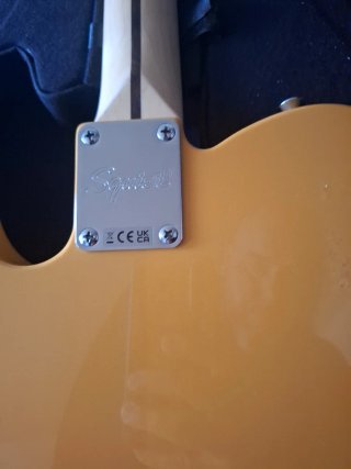 Guitarra Squier Telecaster Dorada