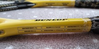 Raquetas Squash Dunlop Venom 110 (2uds)