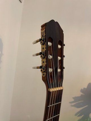 Chitarra Flamenco Raimundo 126