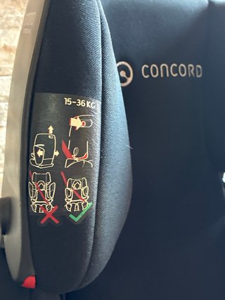 Silla coche Concord