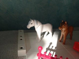 Playmobil Caballos pequeños y Niño WQ