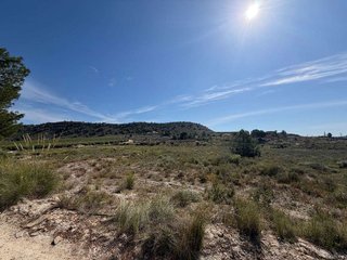 Terreno en venta en Orihuela ciudad en Orihuela