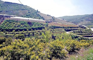 Terreno en venta en Itrabo