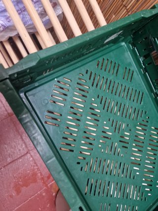 Cajas de fruta pequeñas verdes , tengo varias