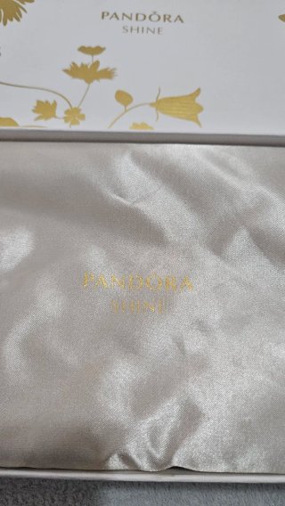 Bolso de mano Pandora