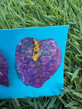 Pendientes hoja natural morada y dorada