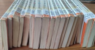 Lote de 18 libros de Austral Juvenil.
