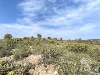 Terreno en venta en Yecla