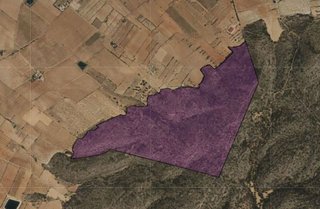 Terreno en venta en Yecla
