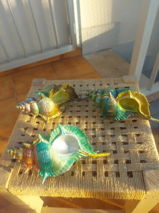 Caracolas de resina pintadas a mano