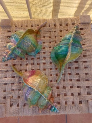 Caracolas de resina pintadas a mano