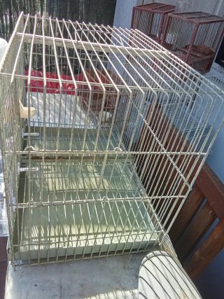 Jaula de cría 40 cm