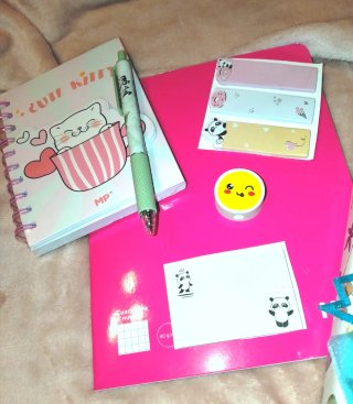 Set regalo di cancelleria rosa e libro sorpresa