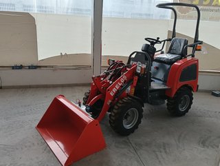 Mini cargadora Everun EREL05