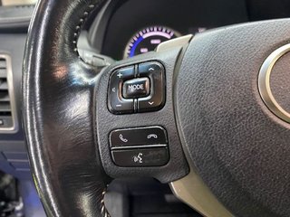 Lexus NX 2.5 300h Corporate 2WD  Navibox