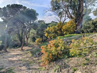 Terreno en venta en Cabrils