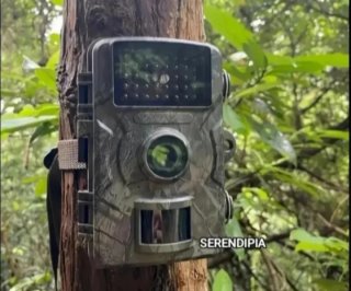 Cámara de Vigilancia + Tarjeta 32GB