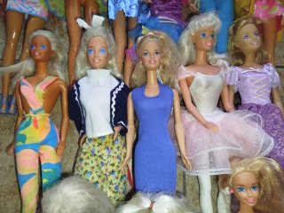 Lote de Barbies + Centro de Ejercicio