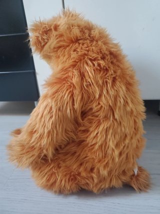 Raro peluche Bear Grande Casa Blu