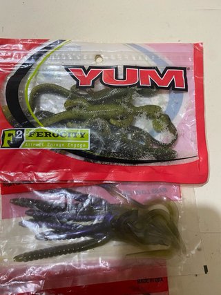 Lote de pesca lombrices y salamandras