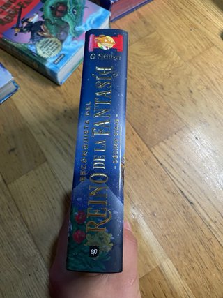 5 libros de la saga "en el reino de la fantasia".