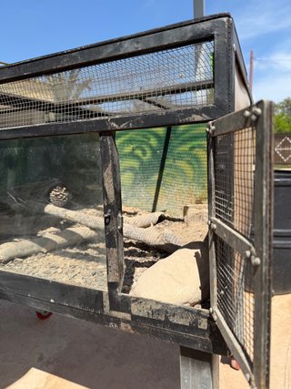 Terrario con ruedas