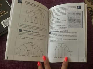 Sintaxis (Manuales Practicos / Practical Manual...