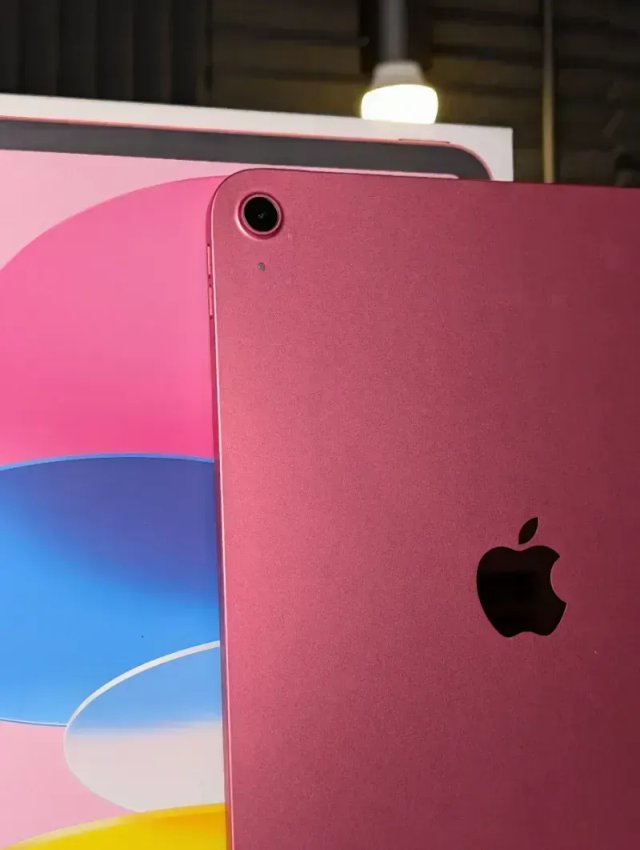 Come Nuovo | iPad 10 Rosa 64 GB