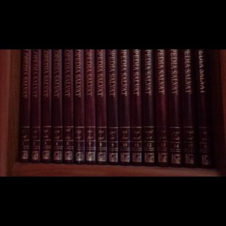 Enciclopedia Salvat Diccionario