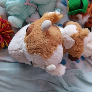 Lote Peluches Varios Animales