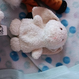 Lote Peluches Varios Animales