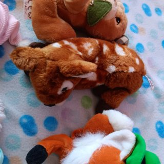 Lote Peluches Varios Animales