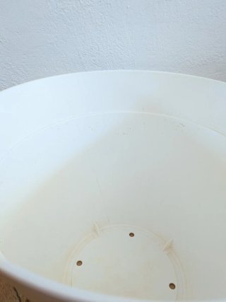 Maceta Plástico Blanca 30cm
