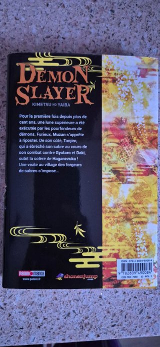 Demon Slayer Tome 12