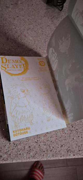 Demon Slayer Tome 12