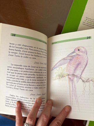 Libros lectura infantil