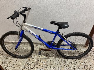 Bicicleta MTB JL-Wenti Free Rider 24