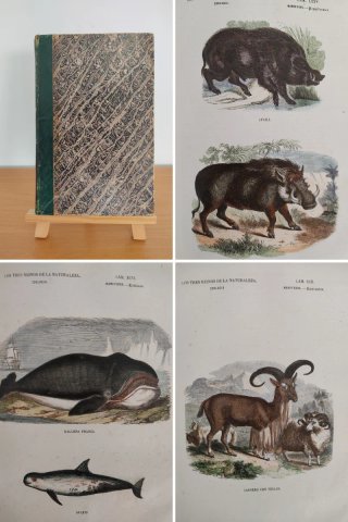 Libro antiguo grabados