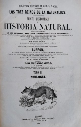 Libro antiguo grabados