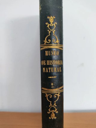 Libro antiguo grabados