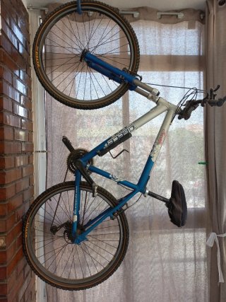 Bicicleta Agece Sevilla