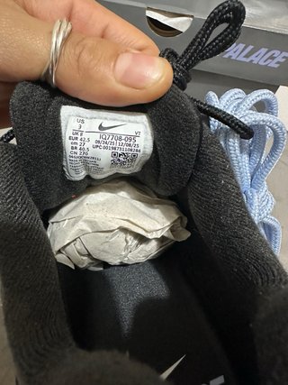 Zapatillas Nike Air Max 95 x PALACE