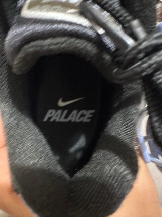 Zapatillas Nike Air Max 95 x PALACE