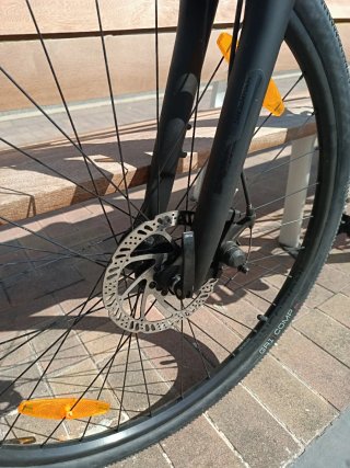 Bicicleta Trek Dual Sport 1 Gris